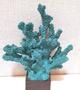 Imagem de Escultura resina coral (turquesa) 21cm altura