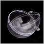 Imagem de Esferas Bola De Acrílico Transparente 5cm Artesanato 10 Uni