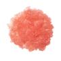 Imagem de Esfoliante Labial Sara Happ Sparkling Peach Sugar (15mL) - Vegano