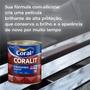 Imagem de Esmalte Coralit Secagem Rápida Brilhante 900ml - Preto