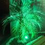 Imagem de Espeto de Jardim 3W LED Luz Verde IP65 a Prova D'água