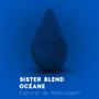 Imagem de Esponja Para Maquiagem Oceane Sister Blend - Azul