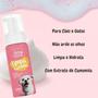 Imagem de Espuma Higienizadora Liimpa Carinha para Cães e Gatos Pet Clean 150ml