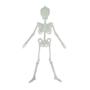 Imagem de Esqueleto Fluorescente 32X7Cm Decorativo Halloween Ydh