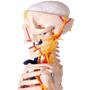 Imagem de Esqueleto Humano 85 cm Articulado com Nervos e Vasos Sanguíneos