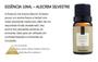 Imagem de Essência ALECRIM SILVESTRE 10 ml - Via Aroma