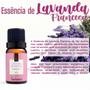 Imagem de Essência Aromática 10ml para Aromatizador e Difusor - Via Aroma 