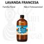 Imagem de Essência Aromática Conc. Cold 500Ml - Love Secret