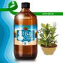 Imagem de Essência Aromática Conc. Vela 500Ml - Verbena