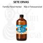 Imagem de Essência Aromática Conc. Vela 500Ml - Verbena