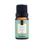 Imagem de Essência Breeze 10ml Via Aroma