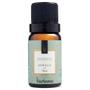 Imagem de Essencia classica 10ml bamboo