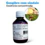 Imagem de Essência Concentrada Fragrância Gengibre com Sândalo 100ml