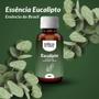 Imagem de Essência De Eucalipto 60Ml Aromatizadores, Difusores E Velas