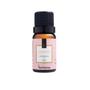 Imagem de Essencia para difusor via aroma 10ml classica delicate