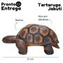 Imagem de Estátua de Jardim Tartaruga Jabuti em Resina 27cm