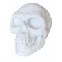 Imagem de Estatua Mini Cabeça Caveira Escultura Decoração Halloween