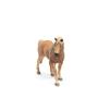 Imagem de Estatueta de cavalo colecionável Schleich Farm World Tennessee Walker Mare