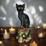 Imagem de Estatueta Gato Bruxo Wicca Caveira em Resina Decoração Halloween