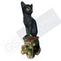 Imagem de Estatueta Gato Bruxo Wicca Caveira em Resina Decoração Halloween