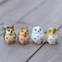 Imagem de Estatuetas em miniatura Danmu Resin Mini Owls para Fairy Garden