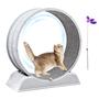 Imagem de Esteira Cat Wheel Exerciser LALAKATS Cat para gatos que vivem em ambientes fechados