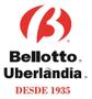 Imagem de Estrovenga Forjada Foice Enxada Enxo sem cabo  - Bellotto