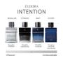 Imagem de Eudora Strong Intention For Man