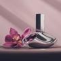 Imagem de Euphoria Calvin Klein - Perfume Feminino - Eau de Parfum