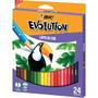 Imagem de Evolution 24 Cores