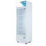 Imagem de Expositor Refrigerado Visa Cooler Gallant 278L Vidro Duplo 220V