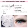 Imagem de Extensões de Cílios Pré-fabricadas 5D LASHBEAUTY - 0,07 mm - 14mm