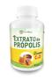 Imagem de Extrato de própolis com vitamina c d 60 comprimidos 1000mg tree