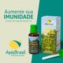 Imagem de Extrato de propolis verde 21%  30ml - apis brasil