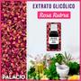 Imagem de Extrato Glicólico de Rosa Rubra - 100 ml