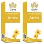 Imagem de Extrato Oleoso de Arnica 30ml Gabea  Kit 2 Und