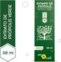 Imagem de Extrato Própolis Apis Flora Verde 30ml