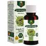Imagem de Extrato Própolis Puro Kit com 6 Verde Alecrim 15% Sem Alcool Imunidade Vitamina Aquoso 30 ml Natural