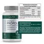 Imagem de Extrato Propolis Verde Concentrado com Vit C + D3 + Zinco - 60 comprimidos Lauton