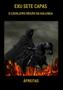 Imagem de Exu sete capas: o cavaleiro negro da kalunga