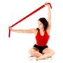 Imagem de Faixa Elastica Super Band Resistencia Extensor Exercicio Vermelho