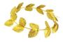 Imagem de Fantasia coroa nero dourada com folhas