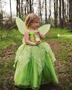 Imagem de Fantasia de sininho para meninas vestido de festa fantasia fada princesa Halloween com asas de borboleta