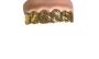 Imagem de Fantasia Dentes Falsos Estilo Rapper Dourado c/ gengiva