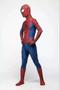 Imagem de Fantasia Homem Aranha Classica Adulto Cosplay Spider Man