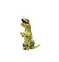 Imagem de Fantasia Inflável Dinossauro T-Rex infantil 120-140m