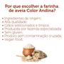 Imagem de Farinha de Aveia Color Andina 150g