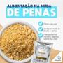 Imagem de Farinhada Biosuprem Velouté Cria + 5kg  Comercial Penna Firme