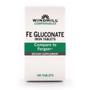 Imagem de Fe Gluconate 100 Abas por Windmill Health