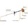 Imagem de Ferramenta KA 30,8CC 1,3CV 120R SP com Derriçador WR9 STIHL